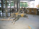 Two Primitive Horses